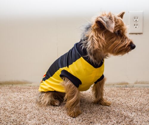 Ultimate Guide to Dog Jersey Mexico