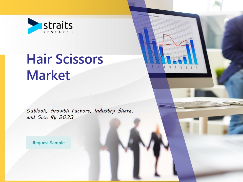 Hair Scissors Market Insights: Revenue, Trends, and Growth Forecast