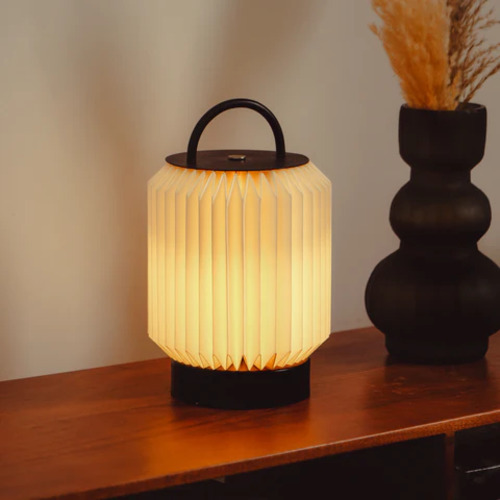 Unique Portable Lamp Designs for Modern Homes | FIG Living