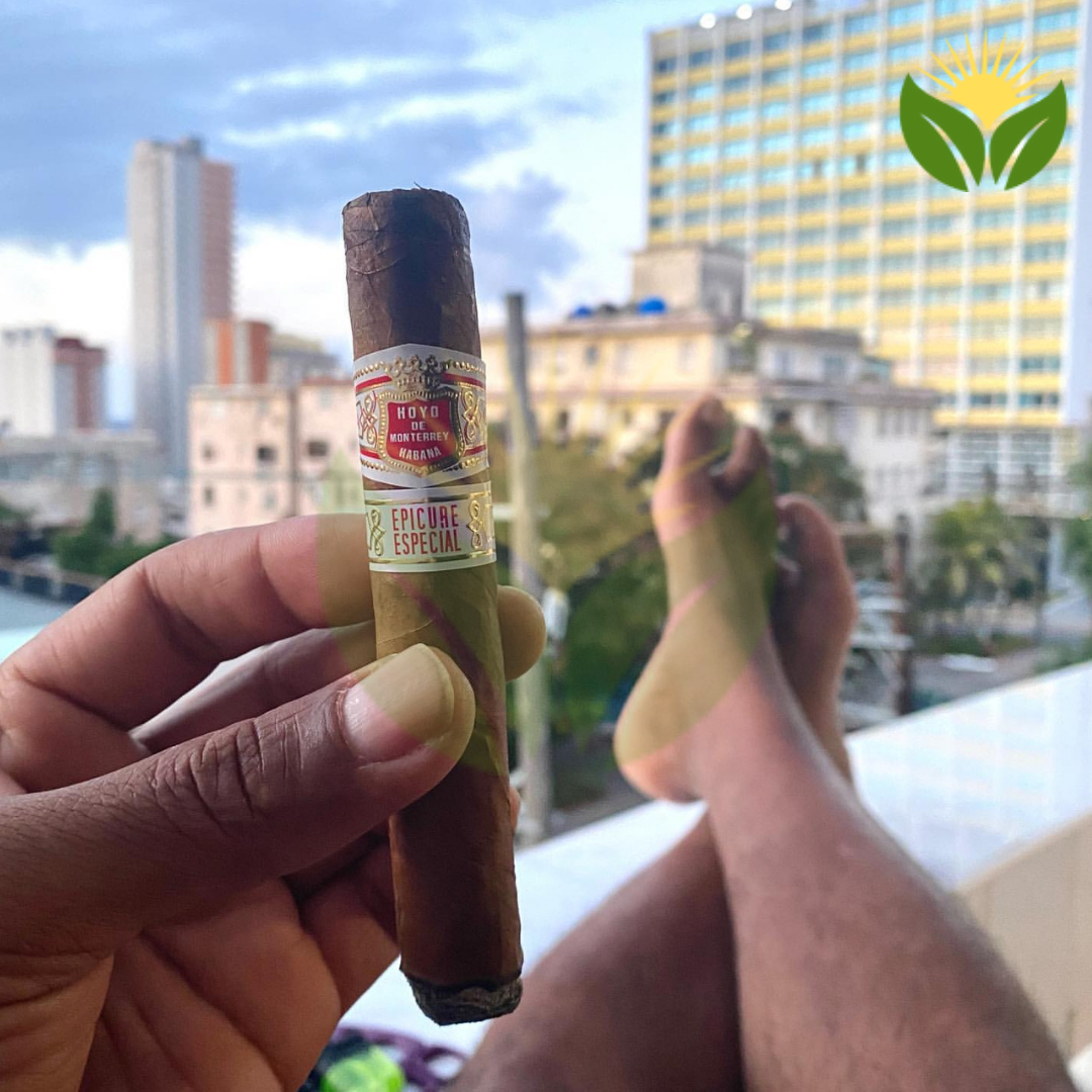 Why Cuban Cigars Are Worth the Hype: Taste, Craftsmanship, and Best Buys