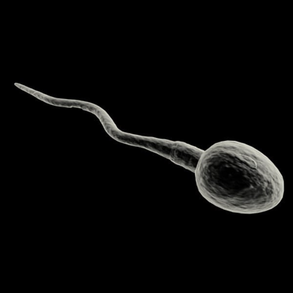 Understanding Black Particles in Sperm: Causes, Symptoms, and Solutions