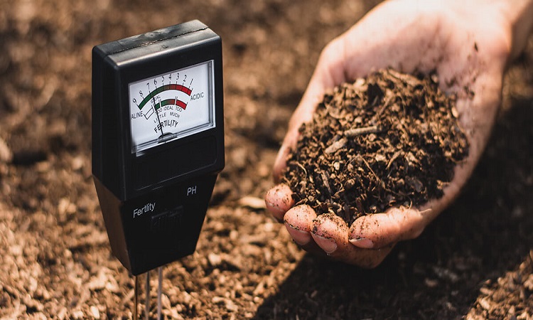 India Soil Testing Equipment Market: Precision Agriculture Shapes Future Growth