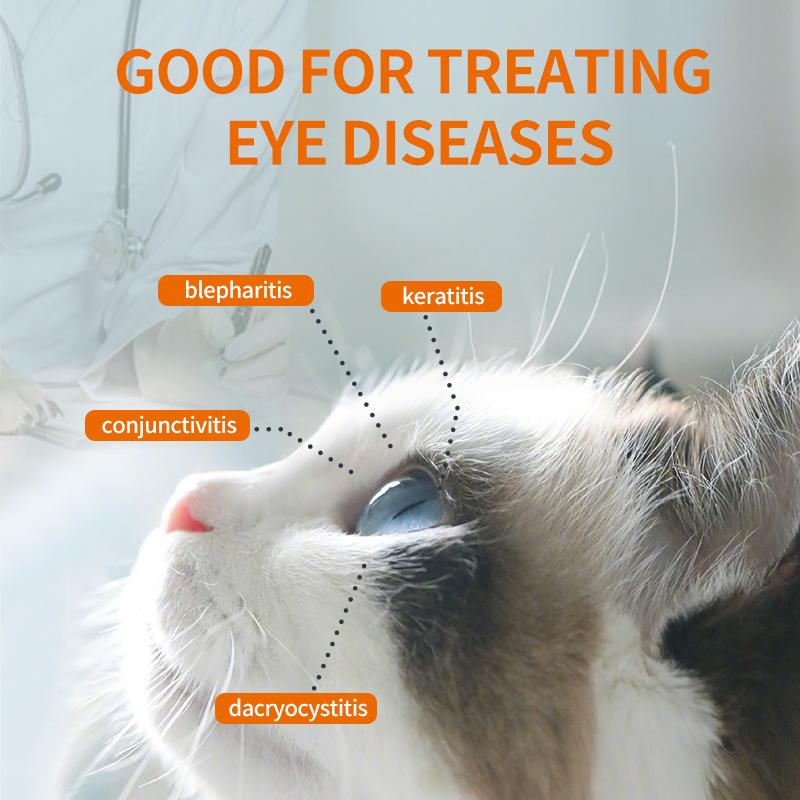 Why Your Cat Needs Specialized Eye Drops: The Difference Between Human and Cat Eye Care