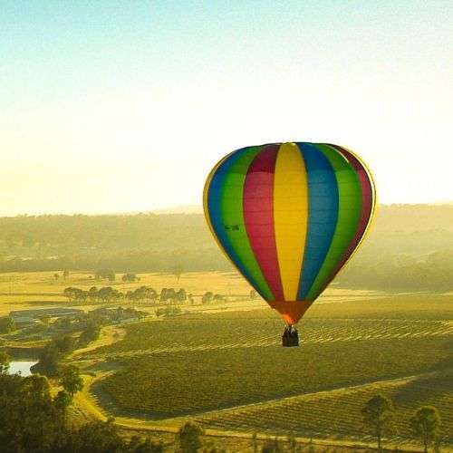 Embark on a Journey of Discovery with Hunter Valley Wine Tours