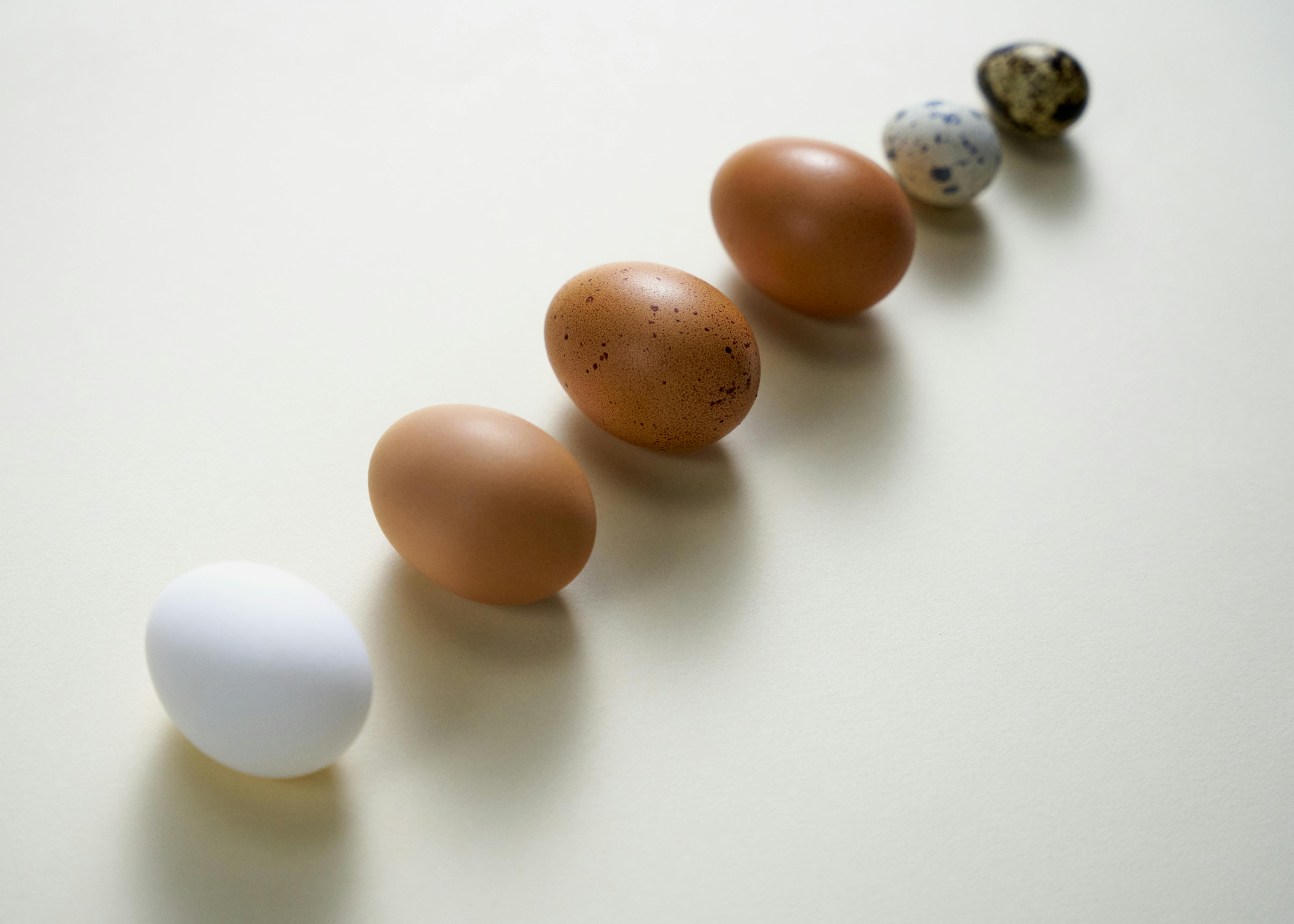 Chicken Eggs vs Duck Eggs