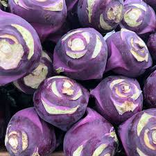 Key Steps for Setting Up a Kohlrabi Processing Plant