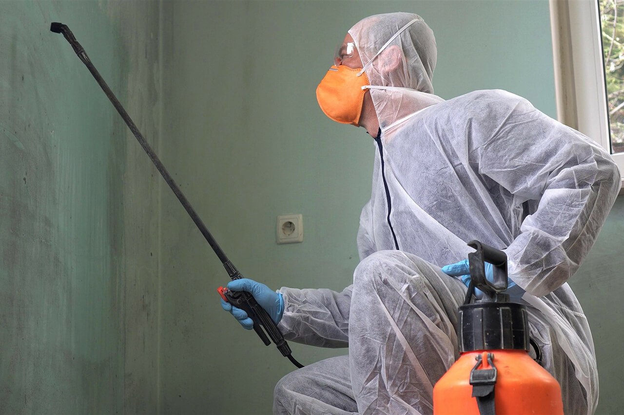 Why Is Mould Sample Testing Crucial for Your Health?