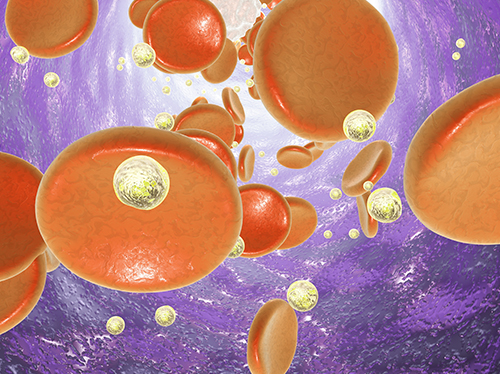 Unveiling the Future of Leukemia: Advancements in Immunotherapy and Beyond