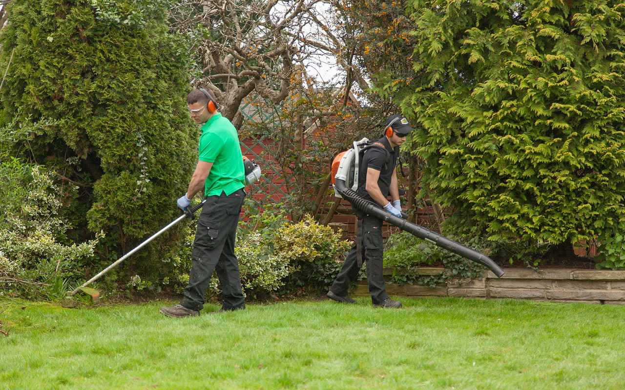 How Does Yard Bush Clean-Up Affect Local Wildlife?