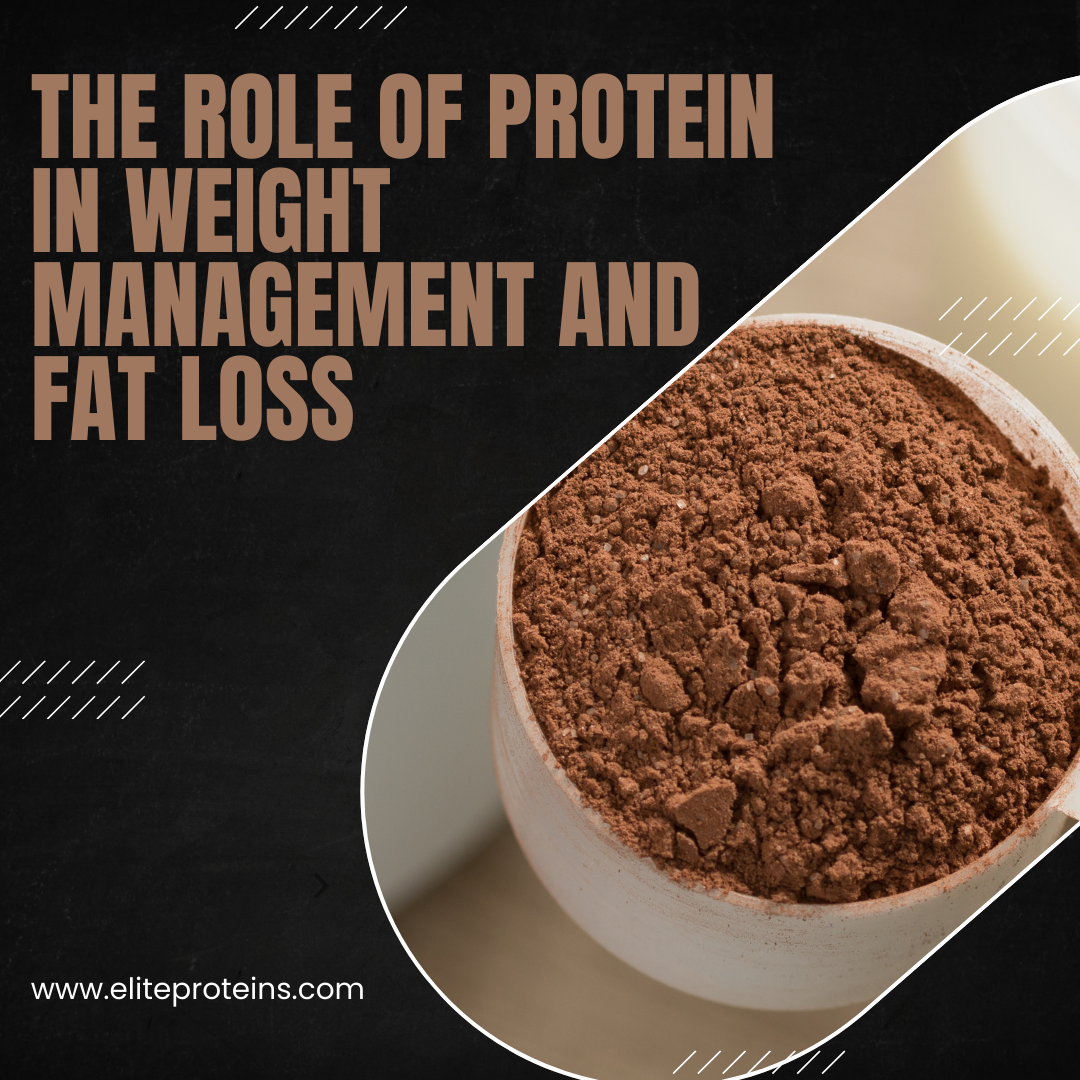 The Role of Protein in Weight Management and Fat Loss