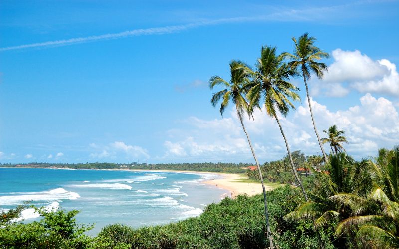 Top 5 Beaches in Sri Lanka: Spots for Surfing and Relaxation