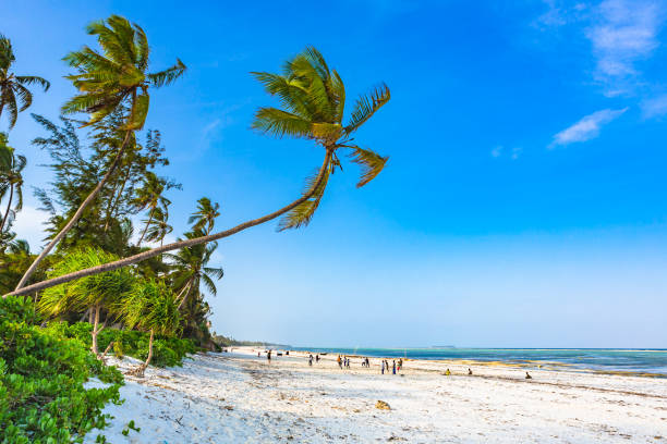5 Best Beaches to Visit in Tanzania