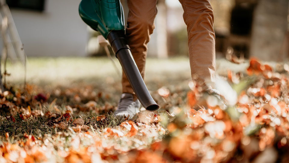 Top Reasons to Book Fall Leaf Removal Services This Season