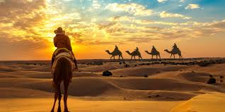 Things to Do in Jaisalmer: A Desert Oasis of Culture and Adventure