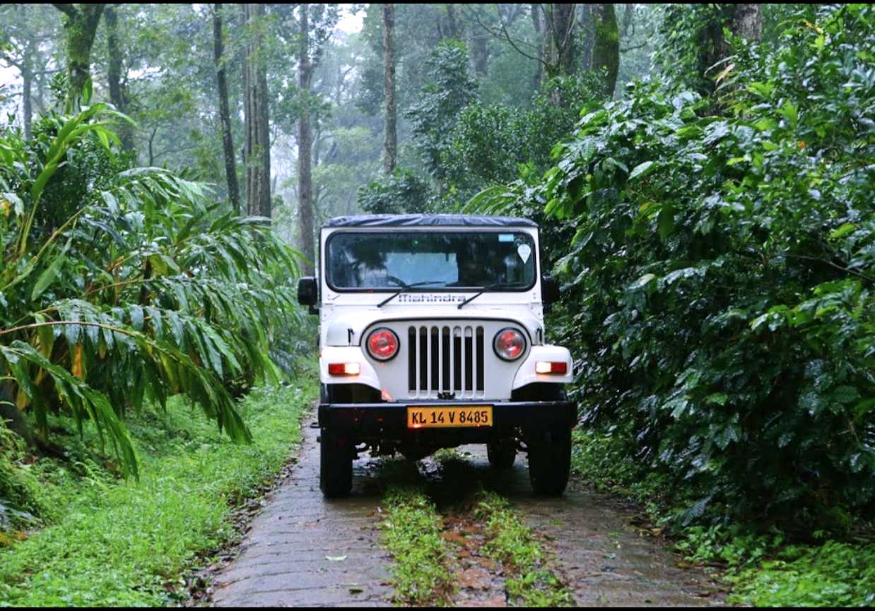 Kolukkumalai: The High-altitude Paradise of Tea Estates in Munnar