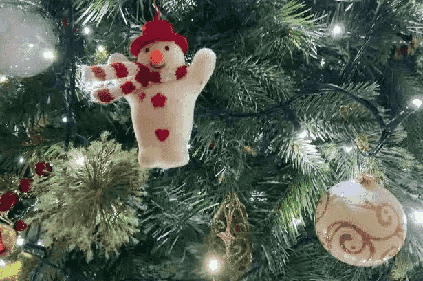 Make Christmas Tree Disposal Easy This Year