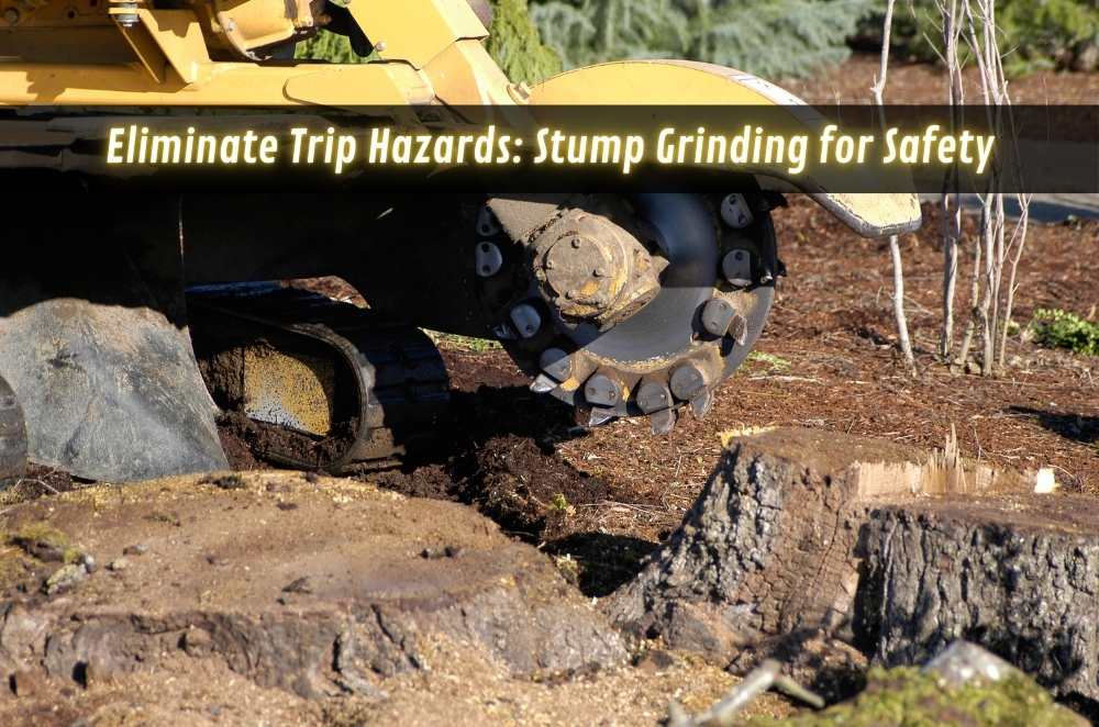 Eliminate Trip Hazards: Stump Grinding for Safety