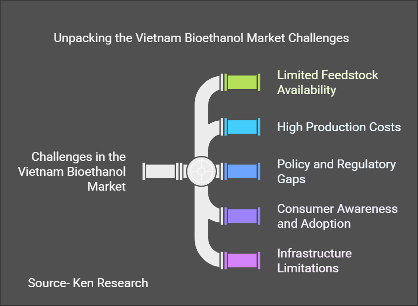 Driving Sustainability delivering Insights into the Vietnam Bioethanol Market