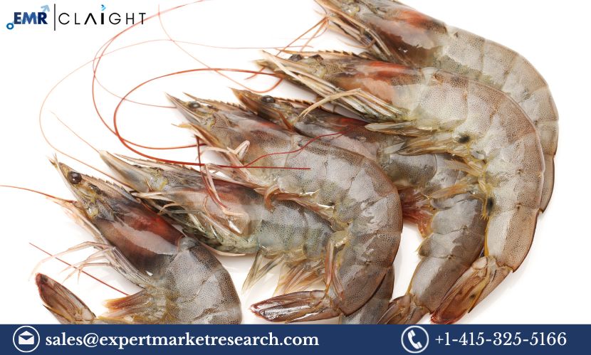 United States Shrimp Market Size, Share, Growth & Forecast | 2034