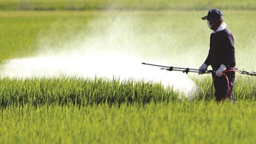 Guide to Setting Up an Agrochemicals Manufacturing Plant