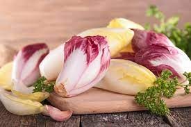 Endive Processing Plant Report 2024: Investment Opportunities and Industry Trends