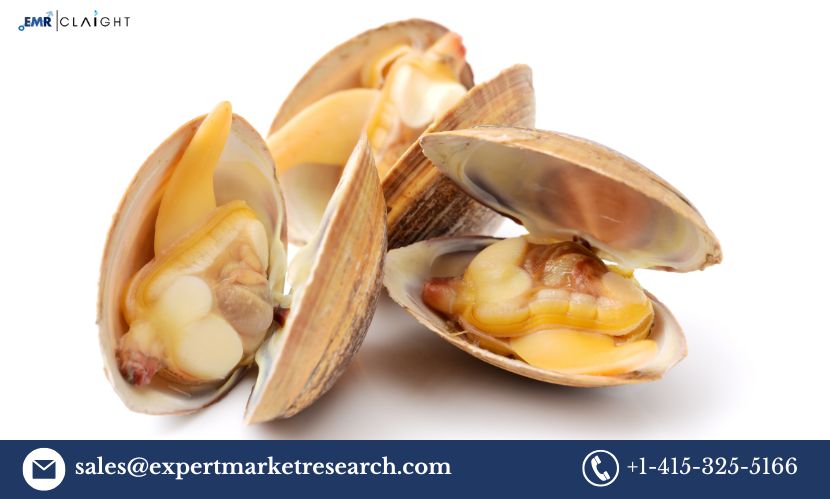 Pre Packaged Clam Manufacturing Plant Project Report 2025: Key Insights and Requirements