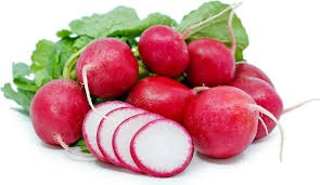 Detailed Project Report on Radish Processing Plant 2024 - Cost and Revenue