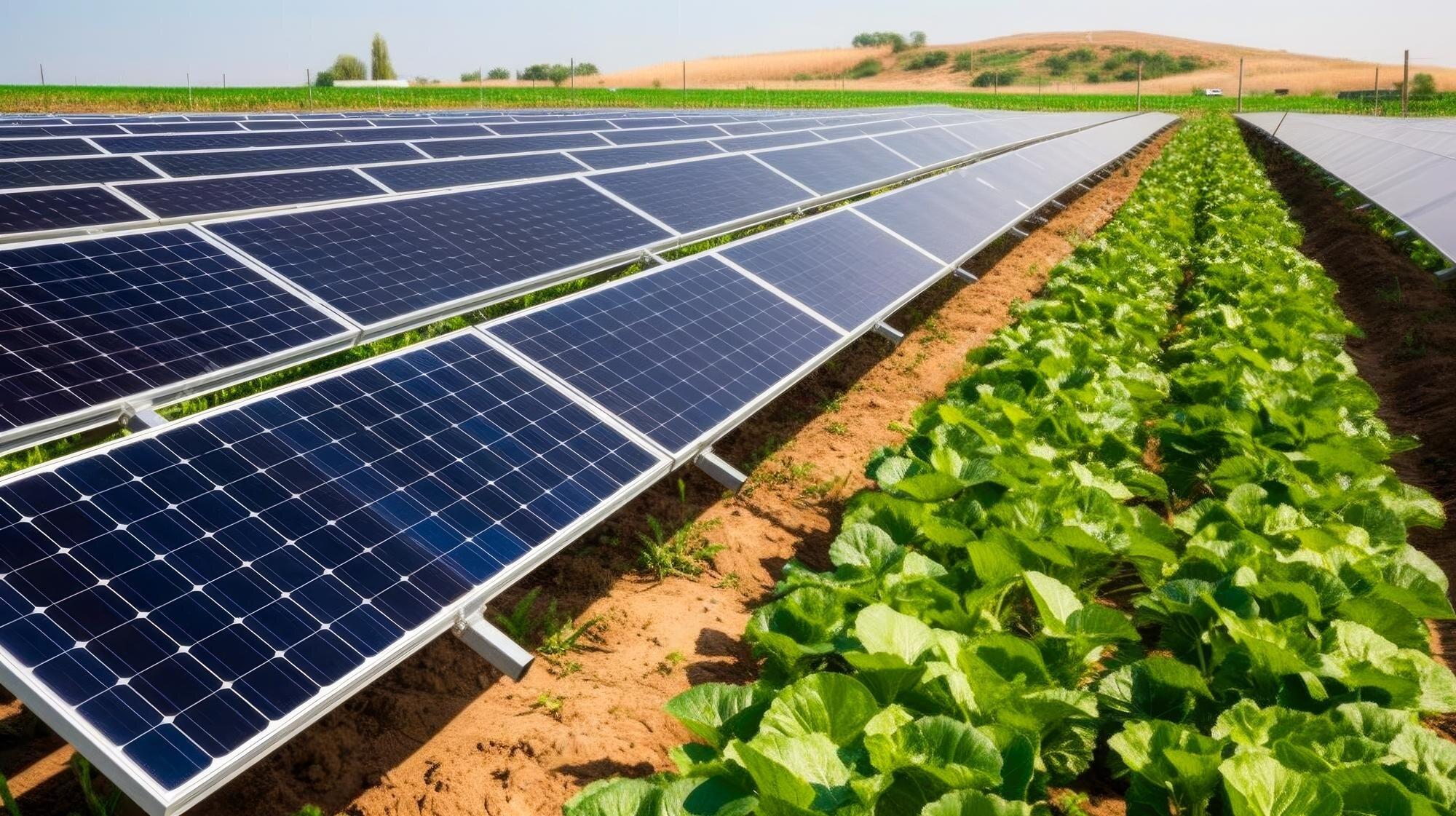 Empowering Agriculture with Solar Solutions in Lahore: A Sustainable Future
