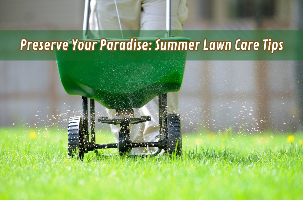 Preserve Your Paradise: Summer Lawn Care Tips