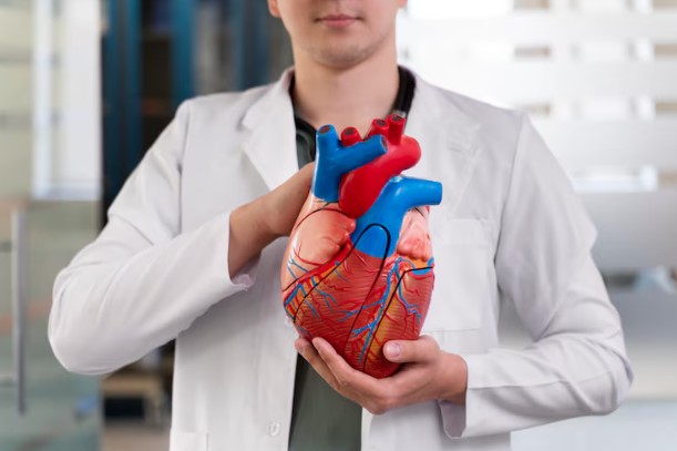 Why Choose SVT Ablation in Dubai for Your Treatment?