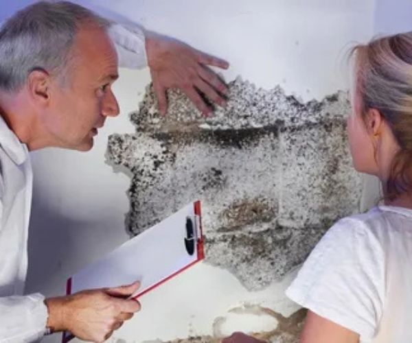 What Are the Best Approaches for Mould Damaged Content Restoration?