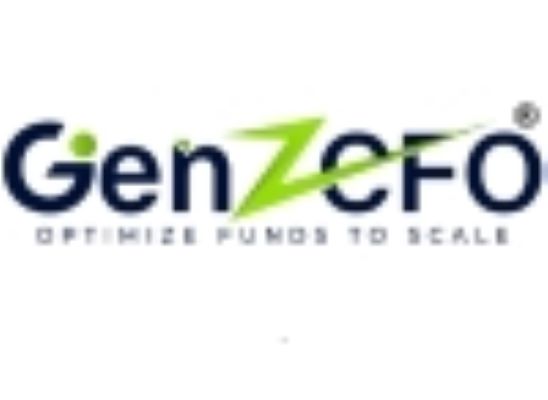 The Concept of a Virtual CFO in India: A Strategic Financial Solution for Modern Businesses