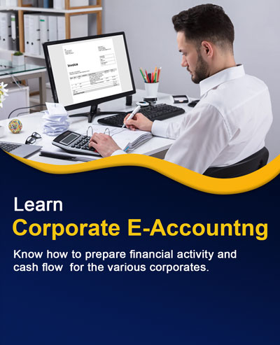 Learn E Accounting with Expert Guidance and Practical Tools