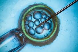 US Assisted Reproductive Technology Market to Witness 6.2% CAGR until 2033