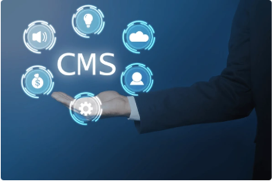 Essential Tips for Managing Your Website with a CMS