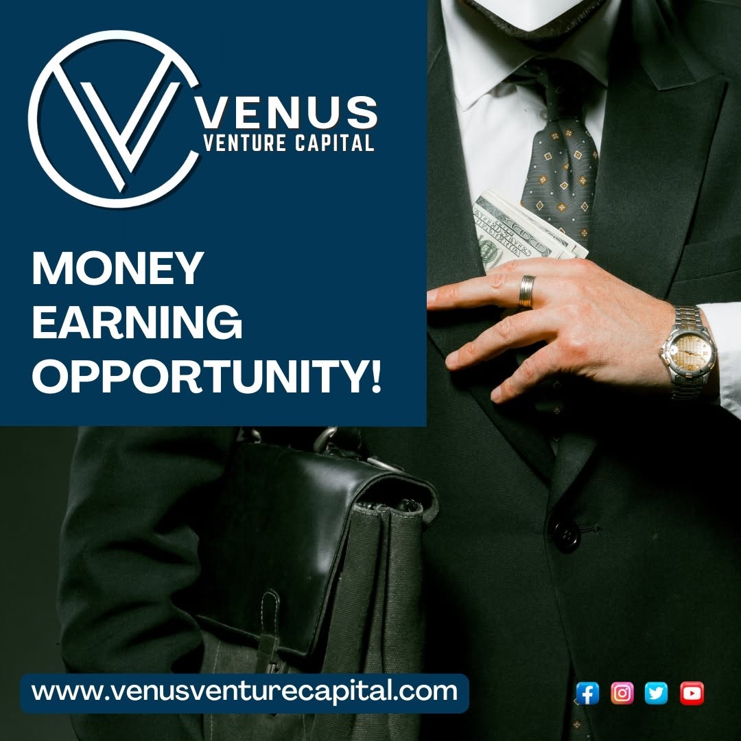 Venus Venture Capital: Redefining Investment Transparency
