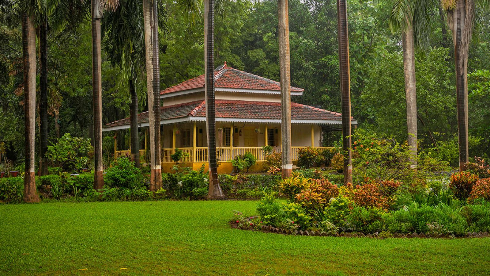 Discover the Wonders of Sayaji Baug Zoo: A Treasure in Vadodara
