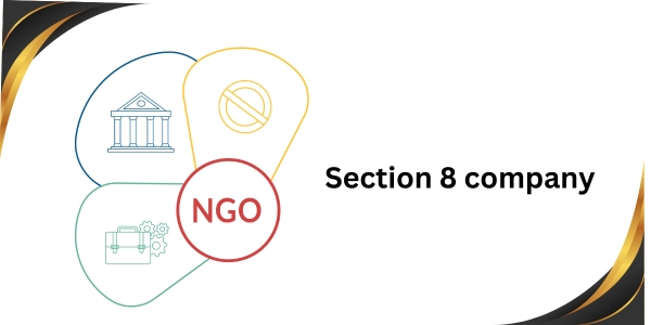 Section 8 Company: Nonprofit Legal Entity for Social Welfare