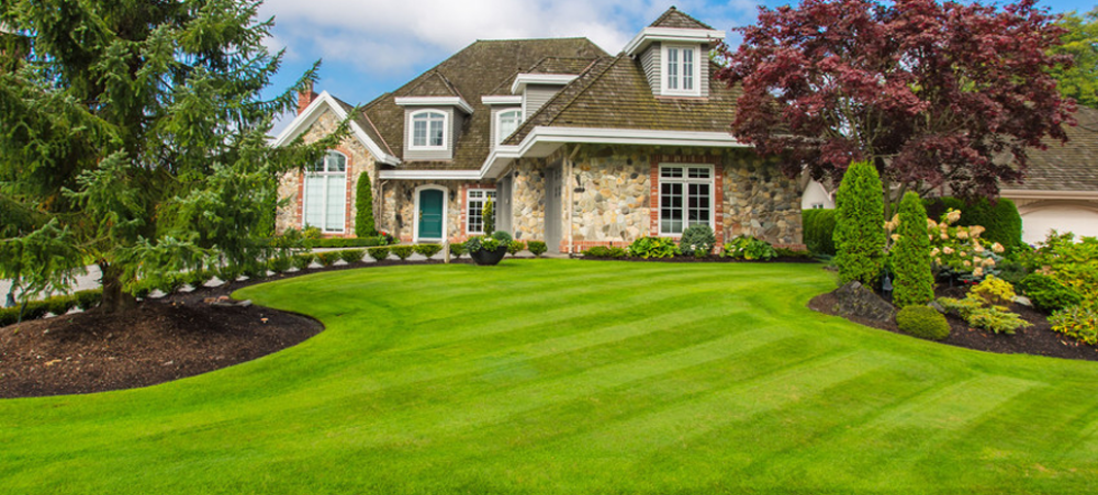 Landscaping Services That Prep Your Yard For Winter Like A Pro
