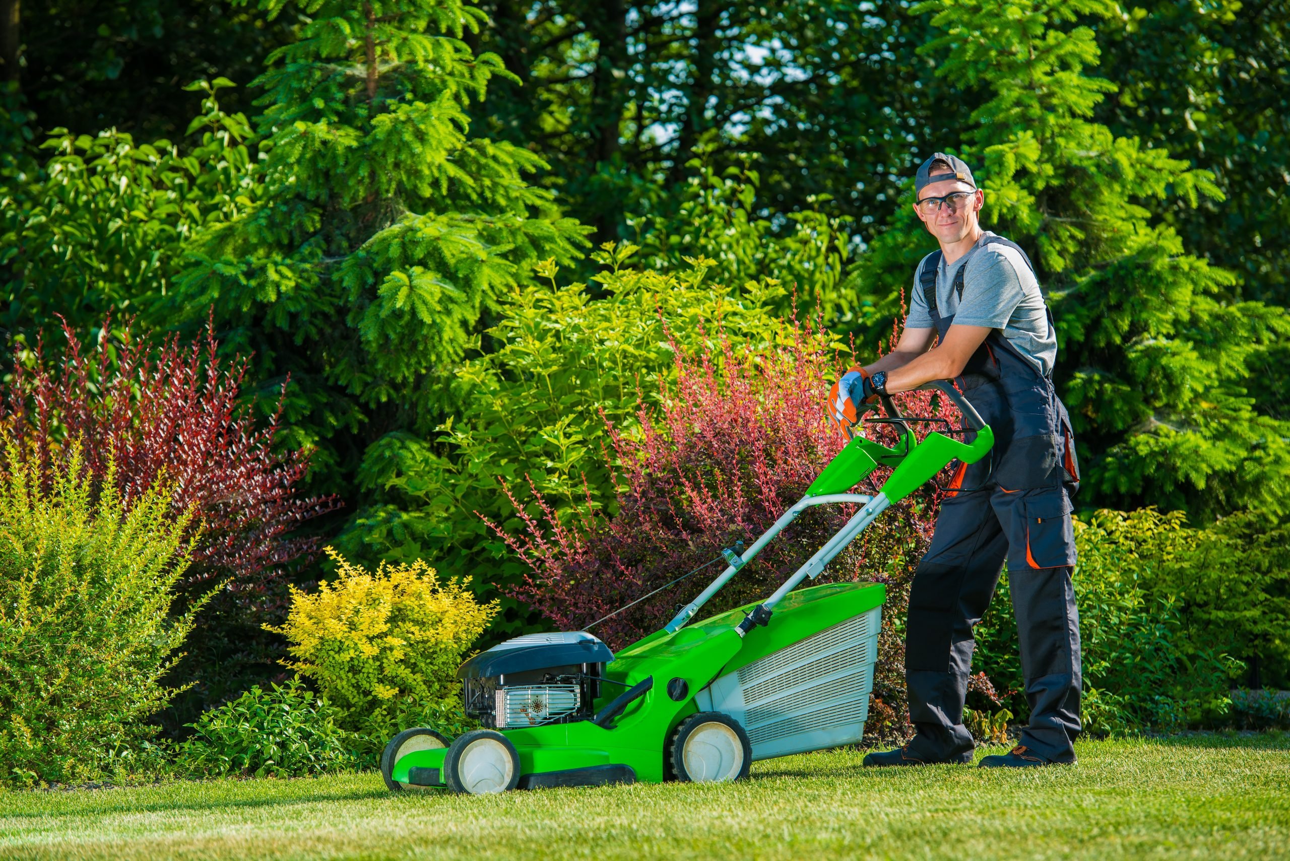 Can Landscaping Services Prevent Common Lawn Problems?