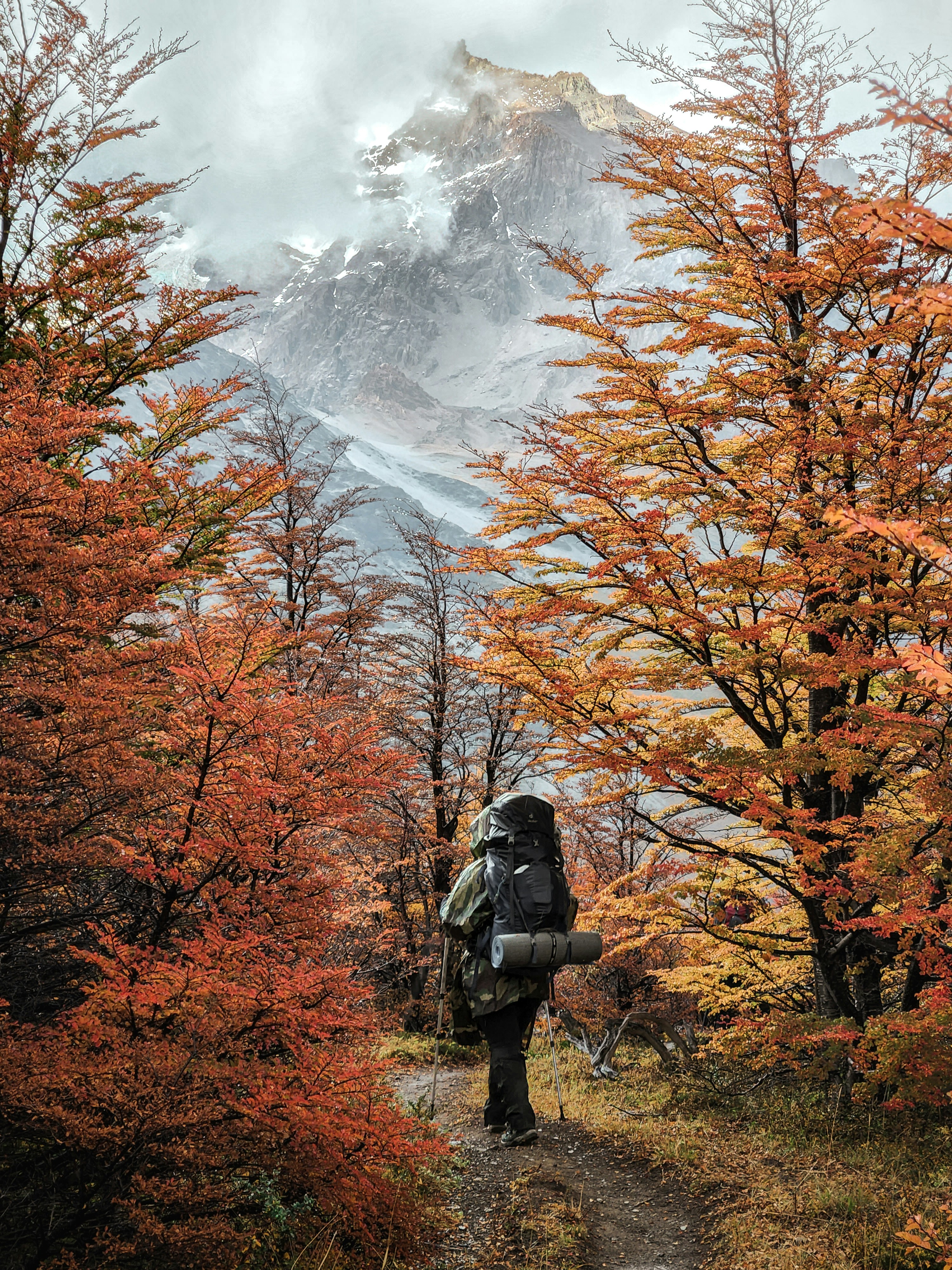 Hiring a Female Trekking Guide: Empowering Adventures in the Himalayas
