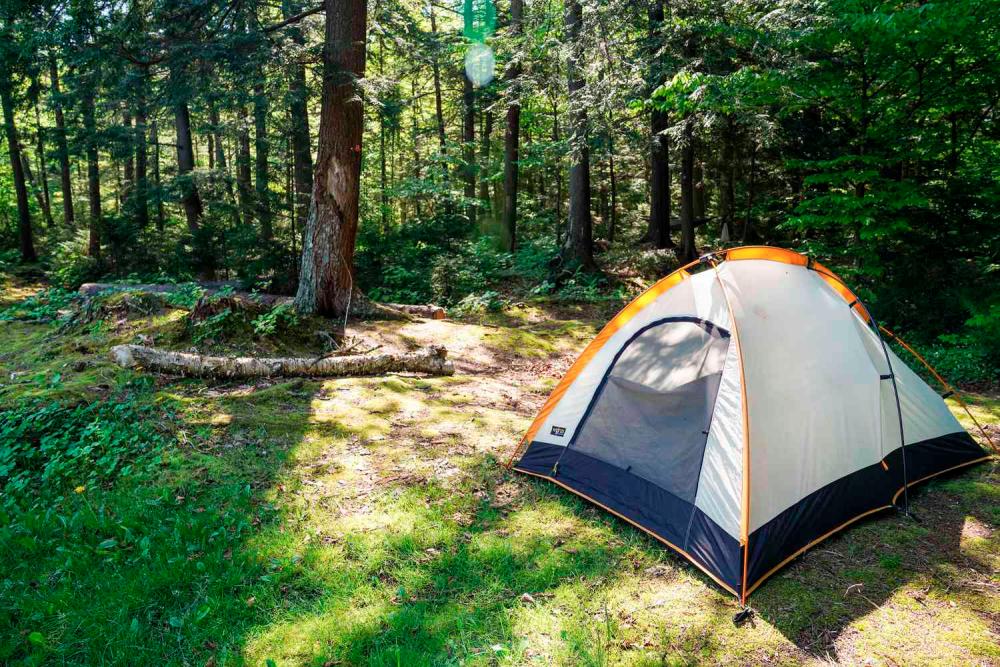 Camping Tent Market Demand, Growth, Trends, Share, Size, Analysis, Forecast 2025-2033
