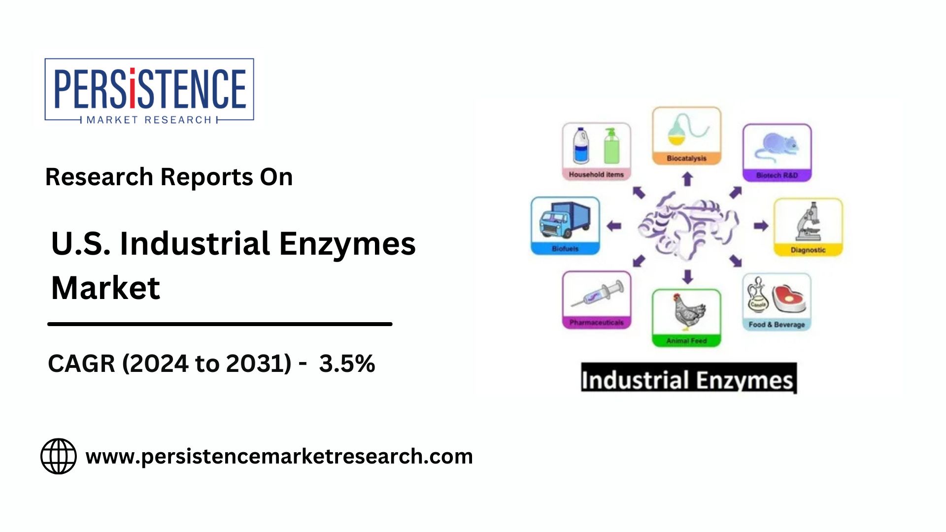 Top Companies Invest in U.S. Industrial Enzymes Market