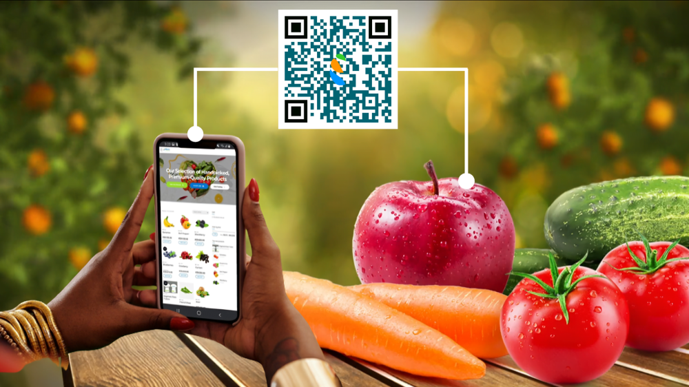 Food Traceability in Supply Chain
