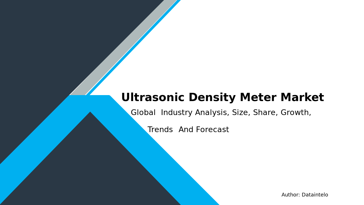2032 Global Ultrasonic Density Meter Market Report Highlights
