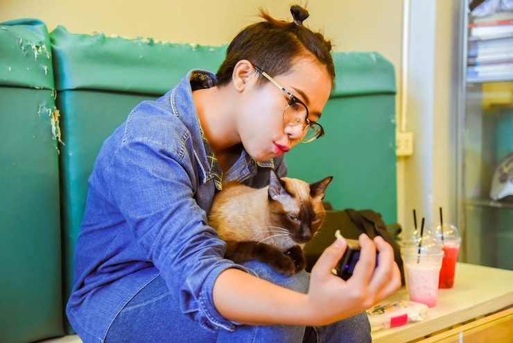Pet Travel Services Market Size, Share, Growth, Trends and Forecast 2025-2033