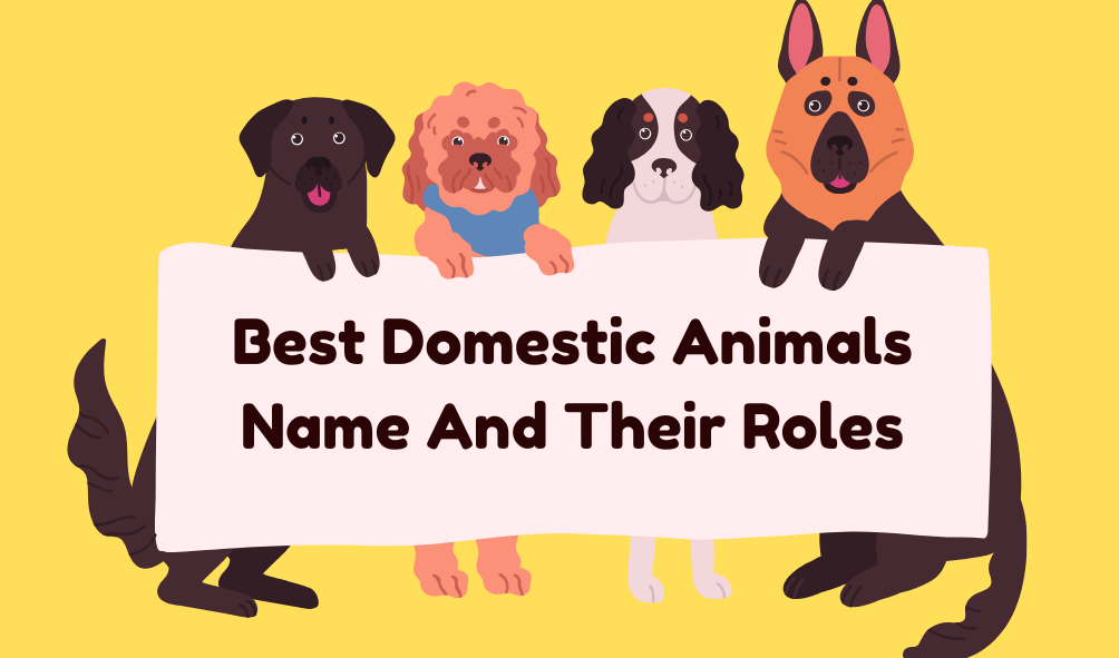 Best Domestic Animals Name And Their Roles