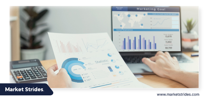 Atmospheric Transport Systems Market Size and Growth Forecast 2025-2033: Industry Insights and Trends