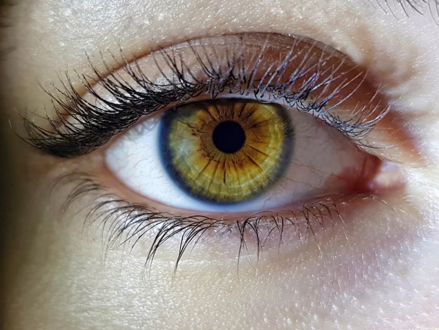 The Best Place to Buy Contacts Online: A Comprehensive Guide