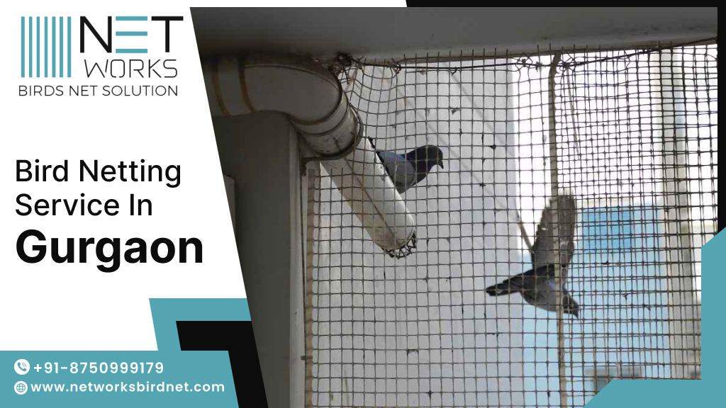 Transform your Effective Pigeon Control with Premium Bird Net Installation in Gurgaon